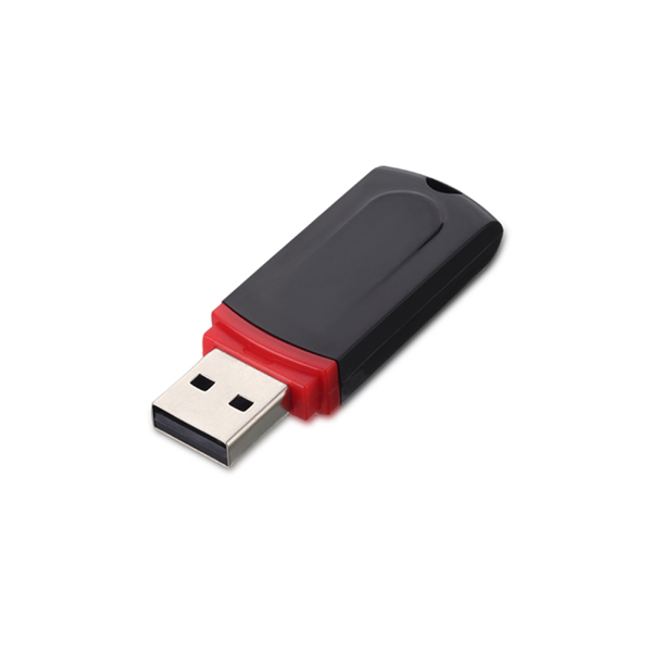 Himory P221/P321FashionablePlasticUSB Flash Drive